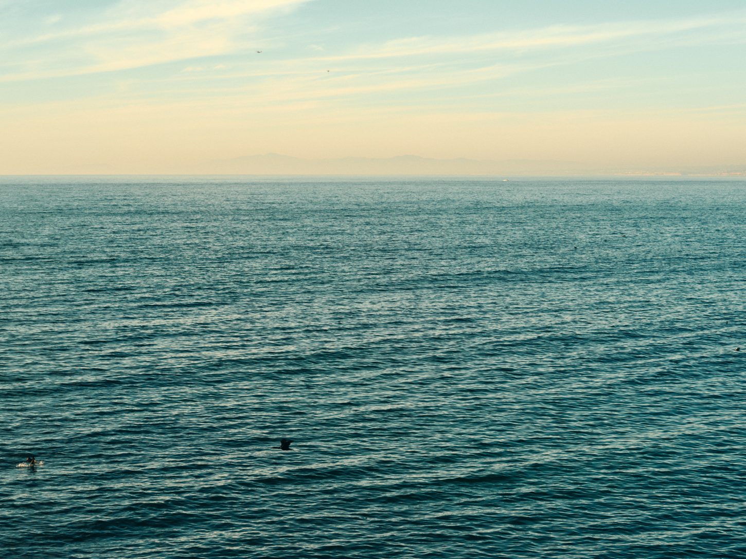 Ocean